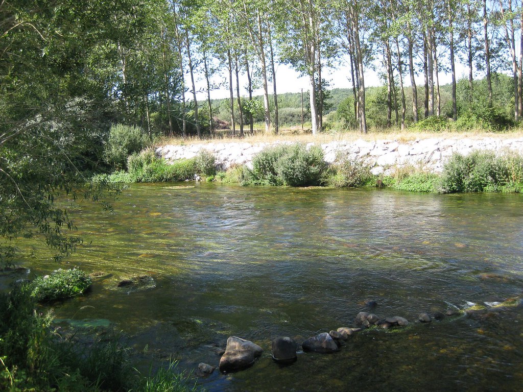 Carrion River