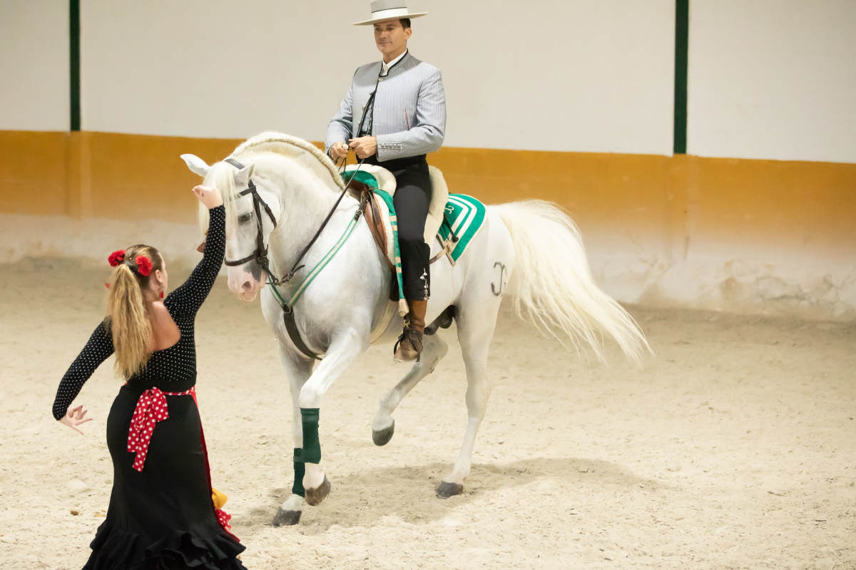 Club Hipico El Ranchito In Torremolinos Horse Show  Ritmo A Caballo