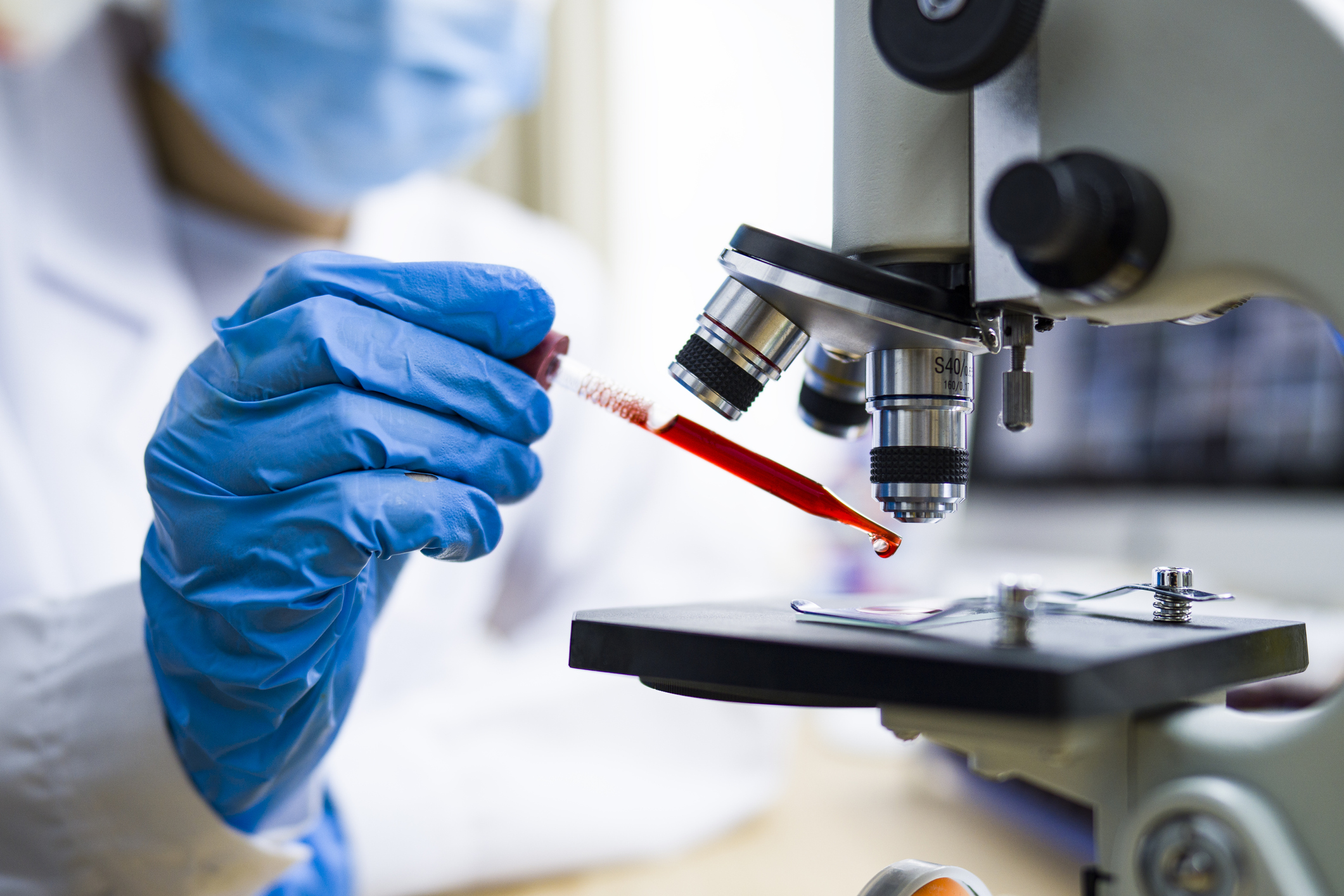 Scientist Working With Blood Sample In Laboratory