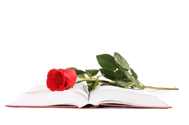 Beautiful Red Rose On The Book