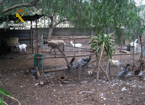 Hundreds Of Mistreated Animals Rescued From Illegal Zoo In Spain S Murcia Region