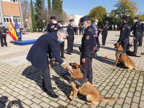 Interior Premia A Alva Y Neo Dos Perros Policias De Malaga