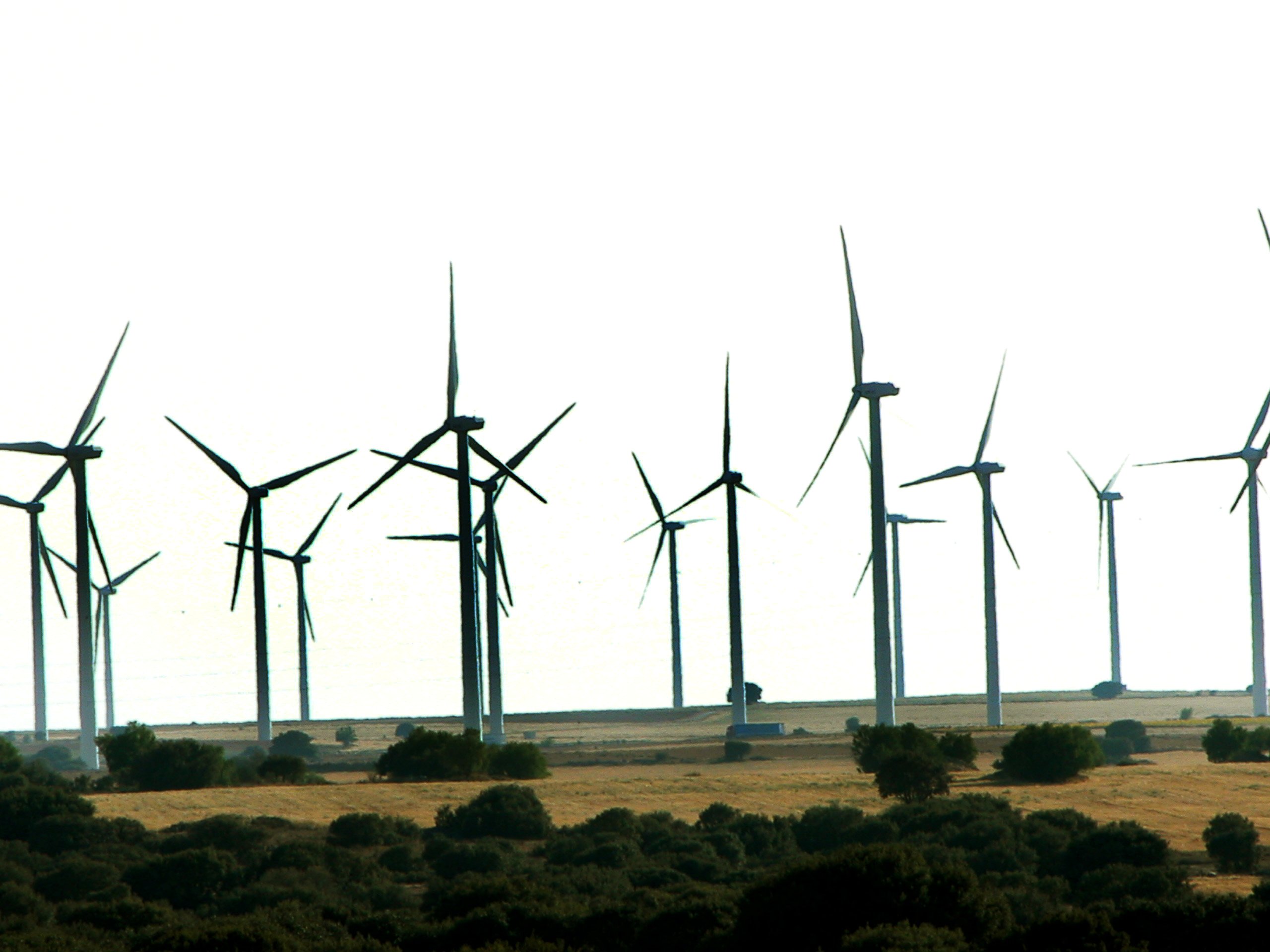 A wind farm in Spain