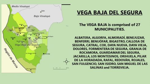 Vega Baja Region