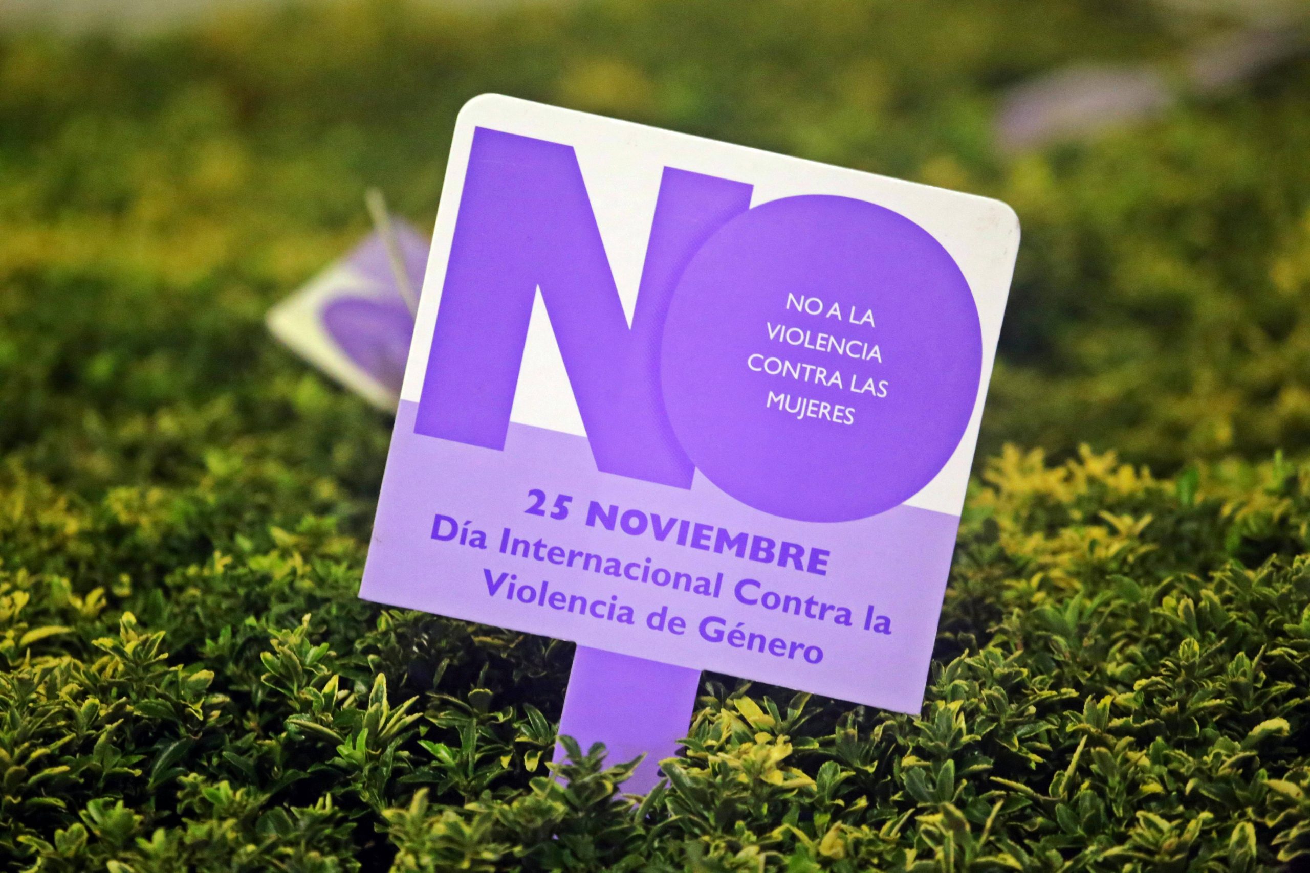 A sign marking International Day for the Elimination of Violence against Women on November 25