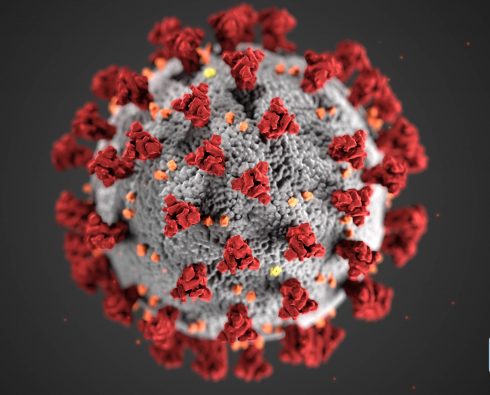 Covid 19: Novel Coronavirus Covid 19 Virus Under The Microscope