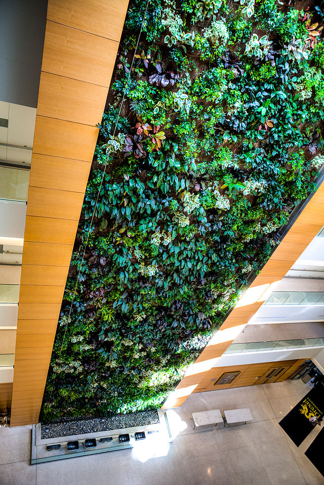 Living Wall