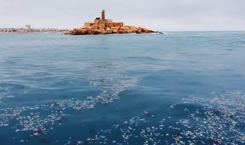 Torrevieja Harbour