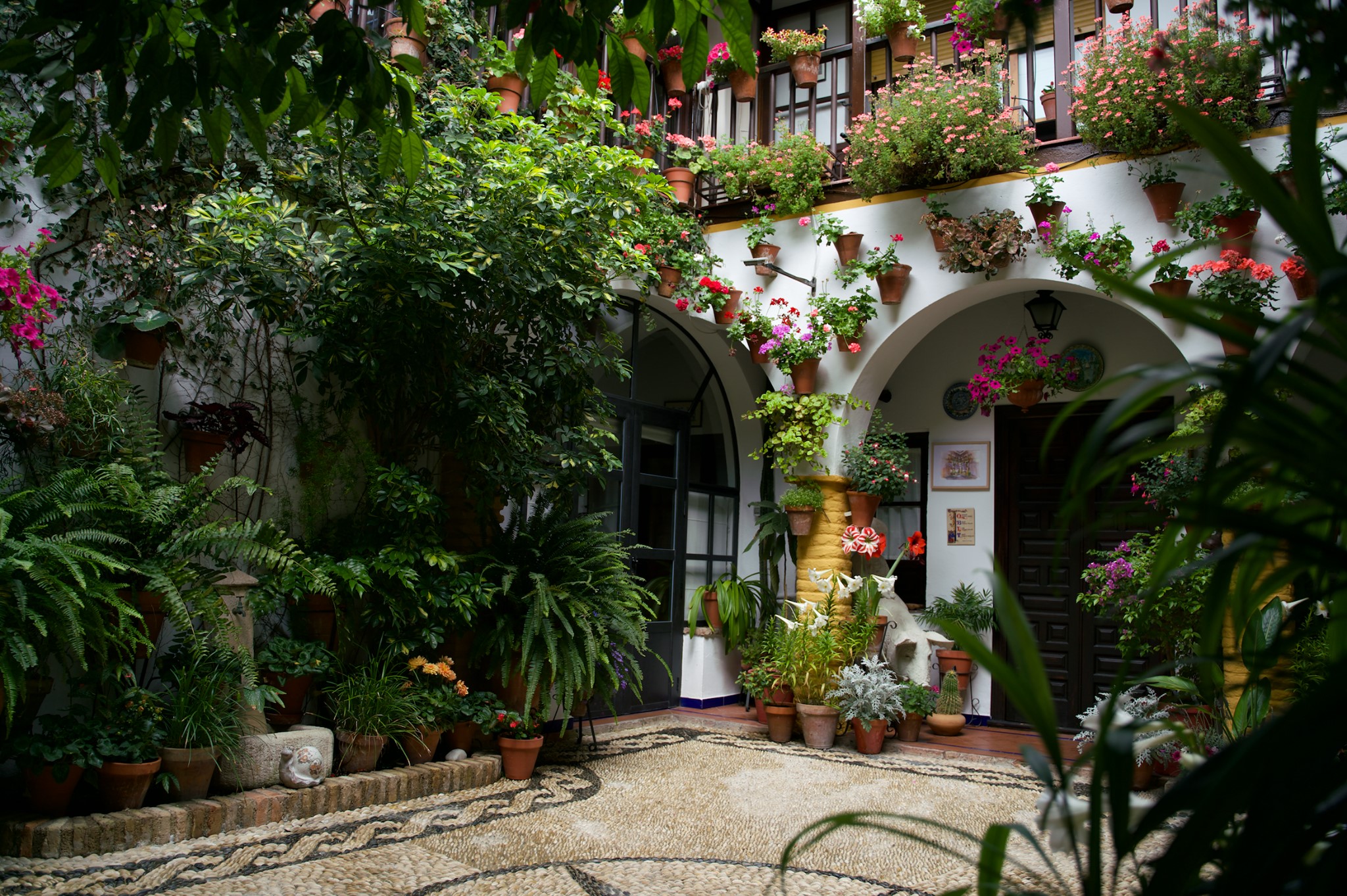 Blooming gorgeous: Cordoba's famous patio festival in pictures - Olive ...