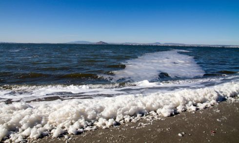 Prosecutors To Force Murcia's Government To Investigate Companies Polluting The Mar Menor In Spain