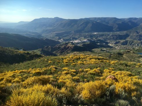 Sierra Nevada