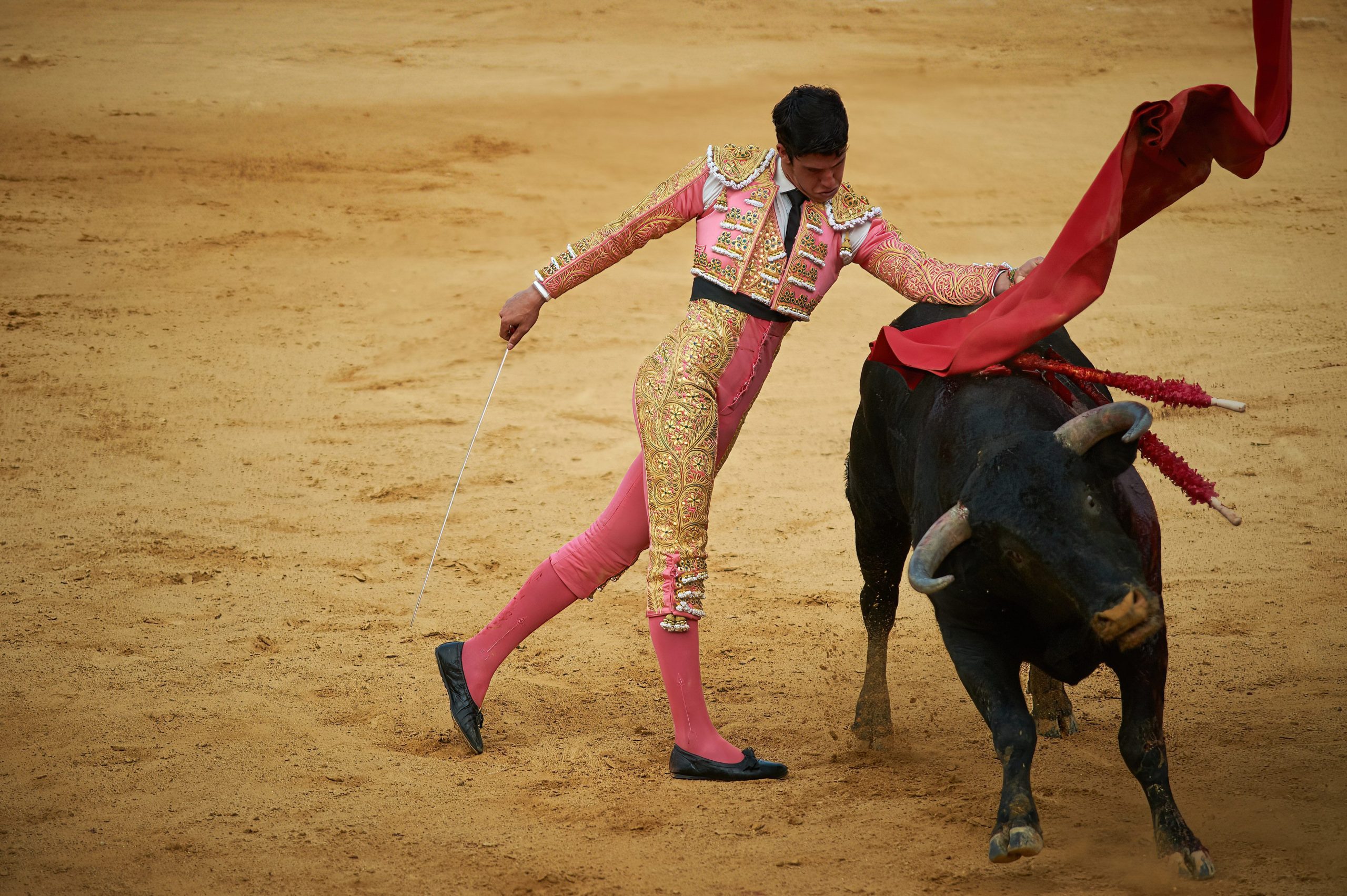 Bullfighting At The Plaza De Toros Tudela (plaza De Toros De Tudela) In Spain 23 May 2021