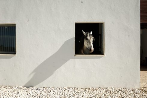 Lacuadra Ronda Horse Stables Dsc1552 1030x686 1