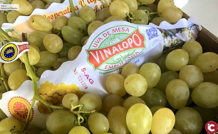 Vinalopo