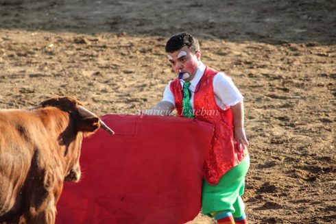 dwarf bulllfighting DiversionesenelRuedo