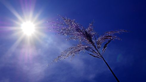 Spain records its hottest-ever April day in Andalucia