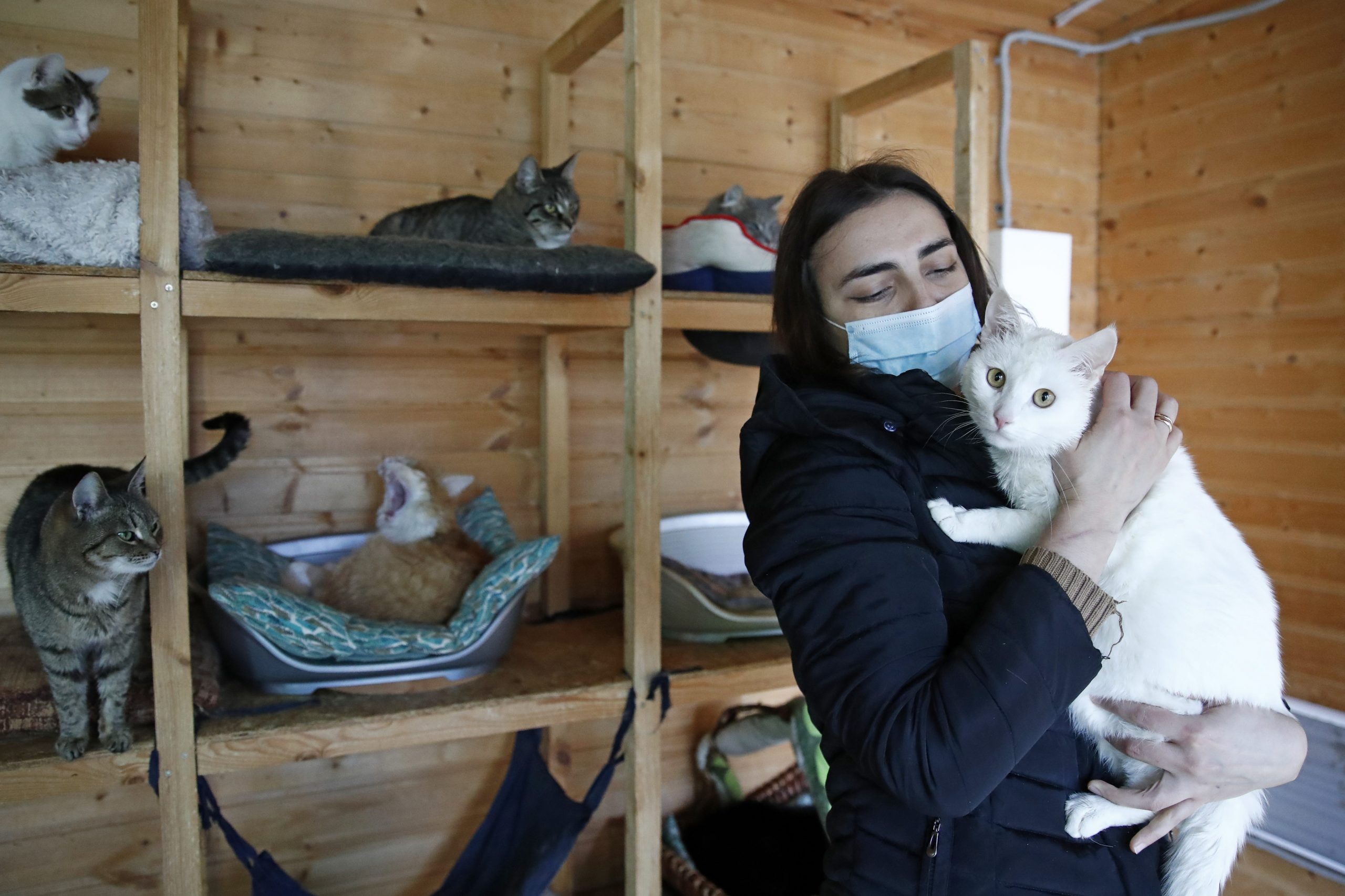 Refugio Para Animales En Rusia Que Recoge A Estos De La Calle Durante La Pandemia De Coronavirus