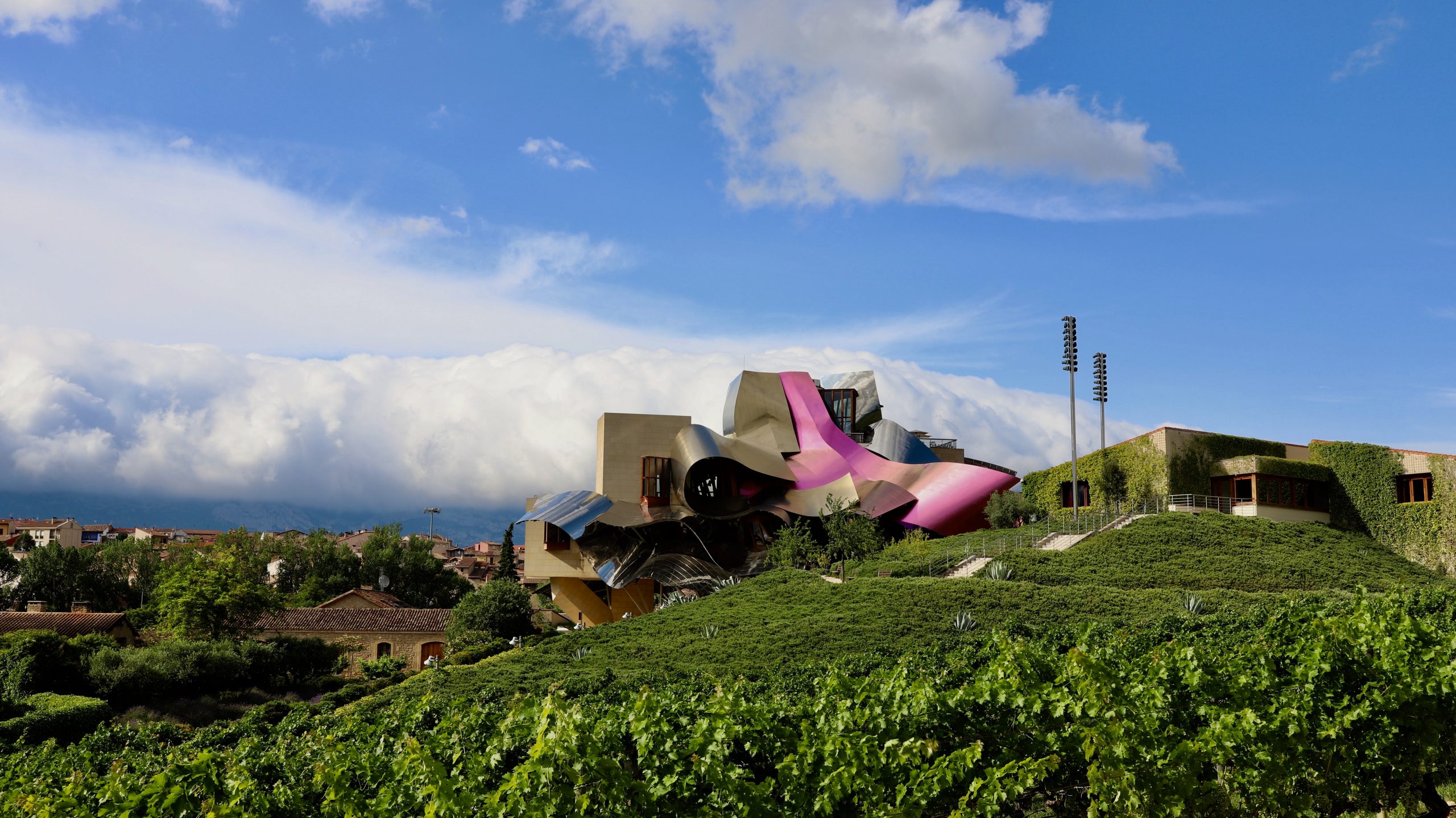 Marques de riscal bodega hotel Photo by Jun Lee on Unsplash