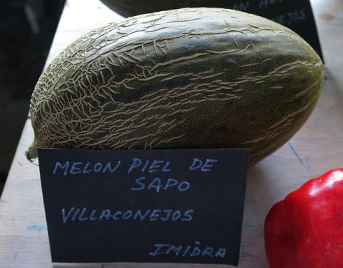 Cucumis Melo, Melón Piel De Sapo , Villaconejos