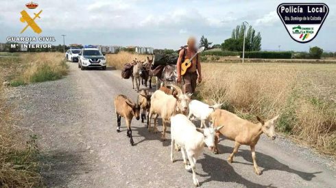 Pelegrino Con 11 Animales Ii