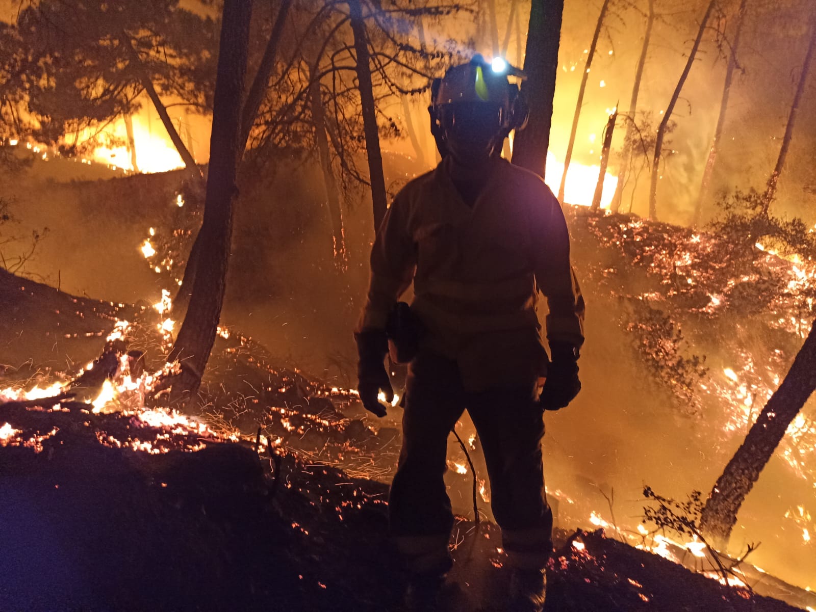 Famous Smurf village feeling blue as 30% of its celebrated landscape  destroyed by Sierra Bermeja wildfire above Spain's Costa del Sol - Olive  Press News Spain