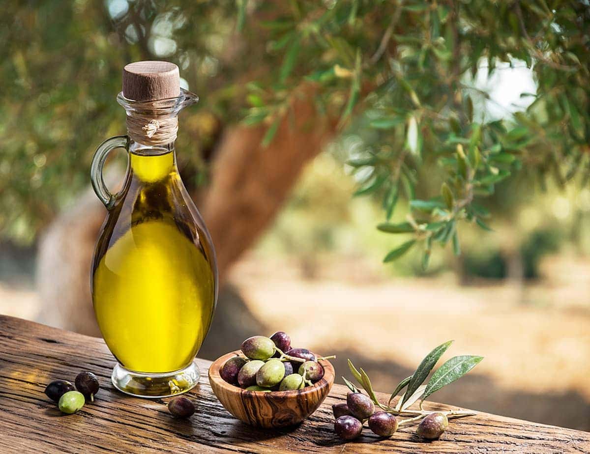 Olive oil in Spain soars to new record wholesale price