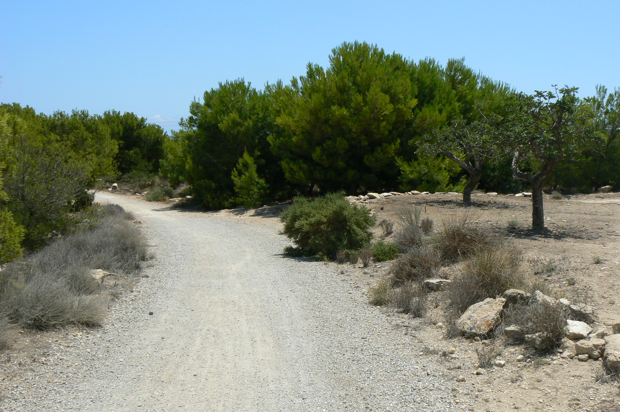 Hunter Mistakes Cyclist For Rabbit And Shoots Him In The Back And Legs On A Costa Blanca Forest Trail In Spain