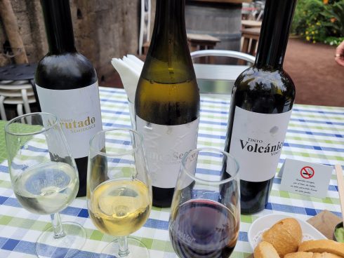 Wine Tasting In Icod De Los Vinos