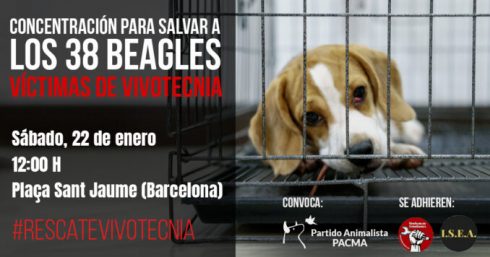 Concentracionbeaglesvivotecnia Tt 678x356 1