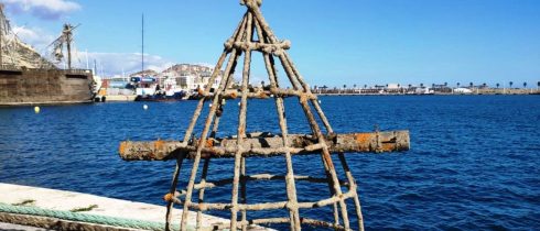 Scientists From Spain's Alicante University Create Artificial Reef To Regenerate Mediterranean Seabed