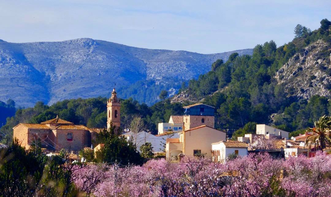 Fireworks Suspected Of Starting Forest Blaze In Costa Blanca Area Of Spain