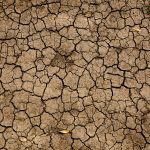 Spain’s ongoing drought is listed in the world’s top 10 ‘most expensive natural disasters’ of 2023