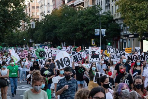 Spain: Anti Bullfighting Protest
