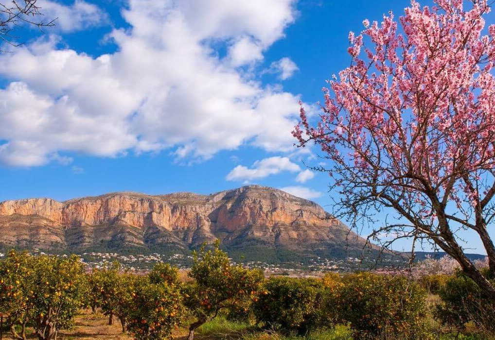 Javea By La Casita Boutique Hotel