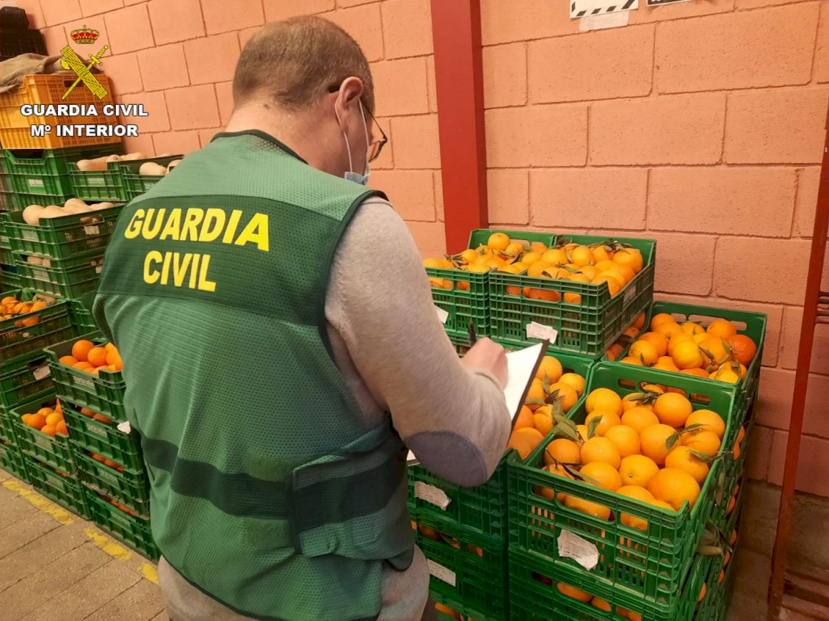 Oranges Contaminated With Banned Pesticide Seized From Fruit Dealer In Costa Blanca And Valencia Areas Of Spain