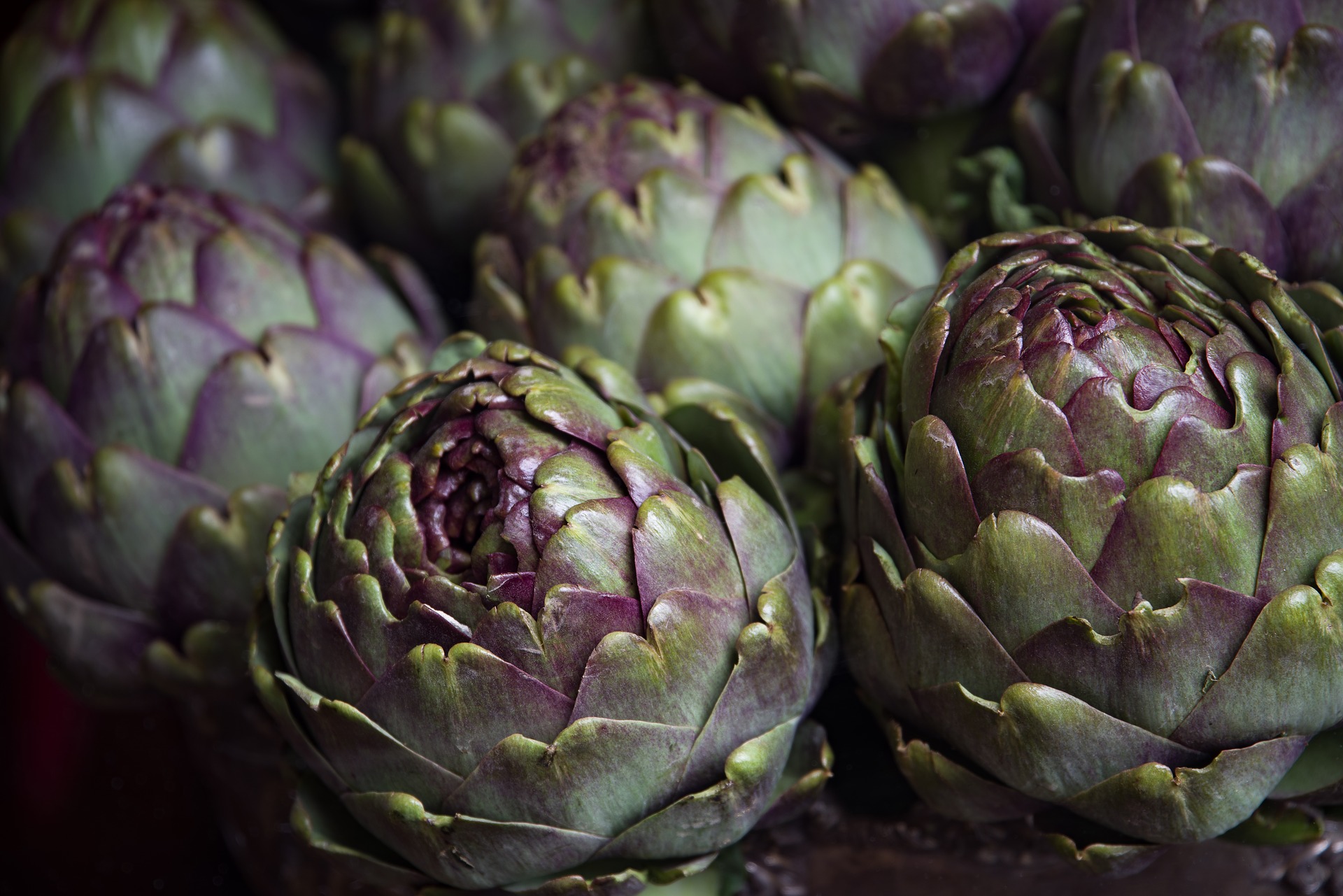 Artichoke 3386681 1920