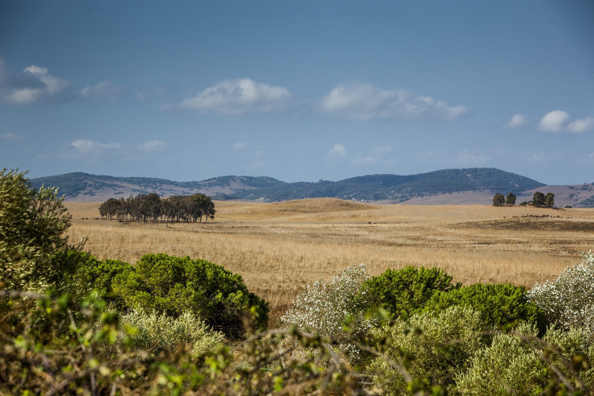 Day Trip from Cadiz and Sevilla: Medina Sidonia, Bridge to Inland Cadiz ...