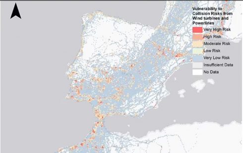 Map Uae Migratory Bird Danger