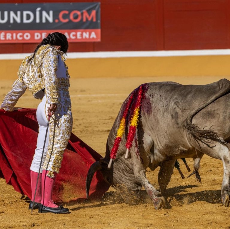 Ole! Meet the 20-year-old female matador forging her way in a macho ...