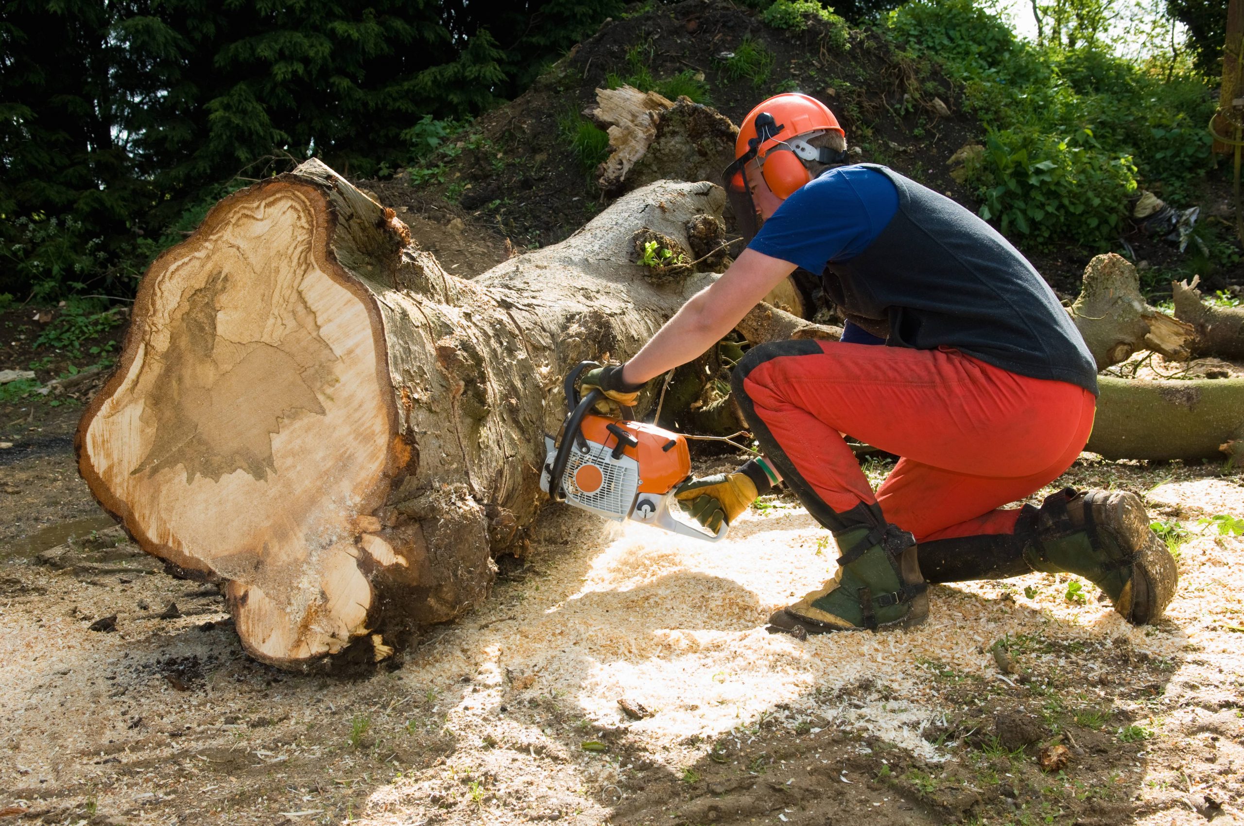 Worker bleeds to death after chainsaw accident on Costa Blanca farm in Spain