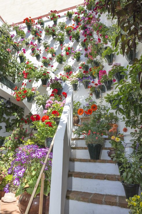 52 patios in Spain’s Cordoba to take part in the Patios de Cordoba Festival Credit: Pixabay