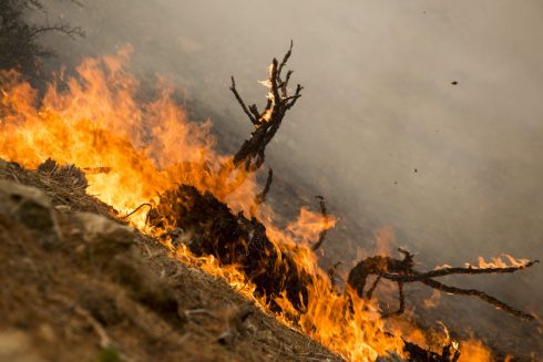 Bobcat Fire Burns