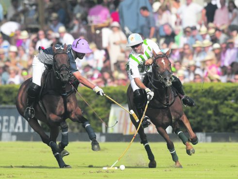Competitive Polo in Seville - POLO+10