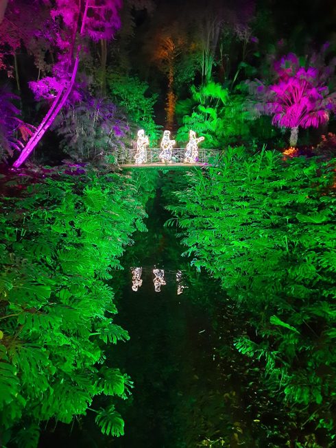Malaga Christmas Lights Jardin Botanico De La Concepcion