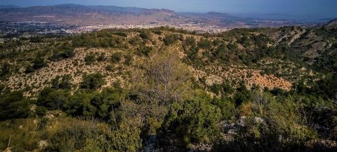 Driver walks away from van following 60 metre ravine plunge on Spain's Costa Blanca