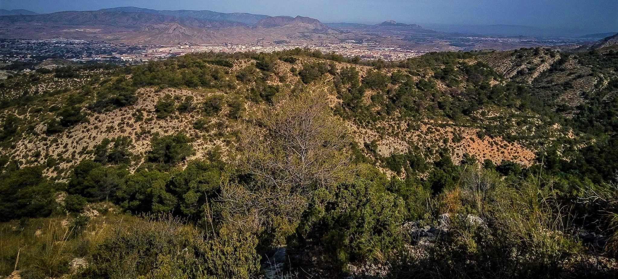 Driver walks away from van following 60 metre ravine plunge on Spain's Costa Blanca