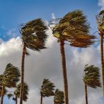 Storm Eowyn brings warnings of strong winds and widespread rain for most of Spain