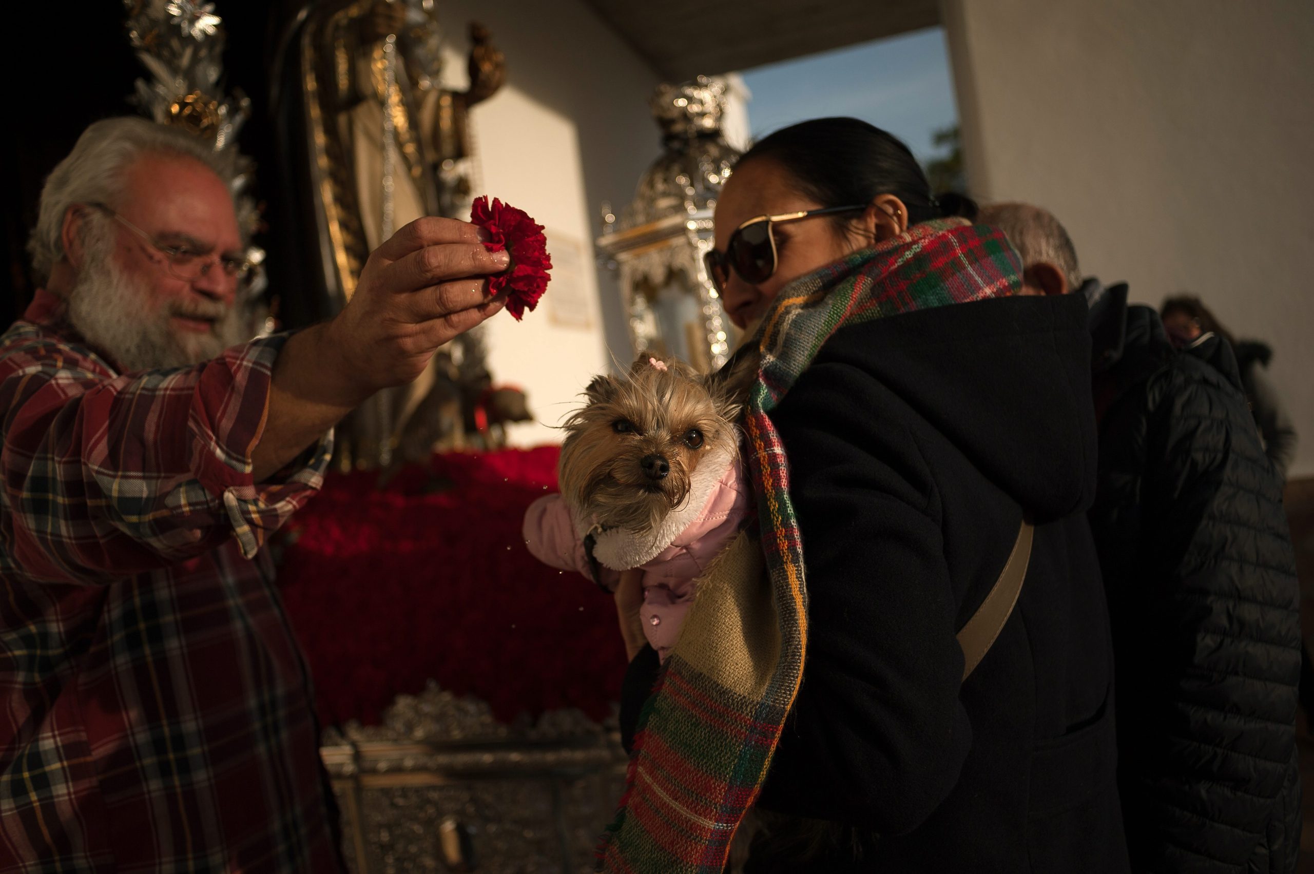 BENDITOS ANIMALES: La Iglesia de San Antón de Madrid es el centro de atracción de mascotas