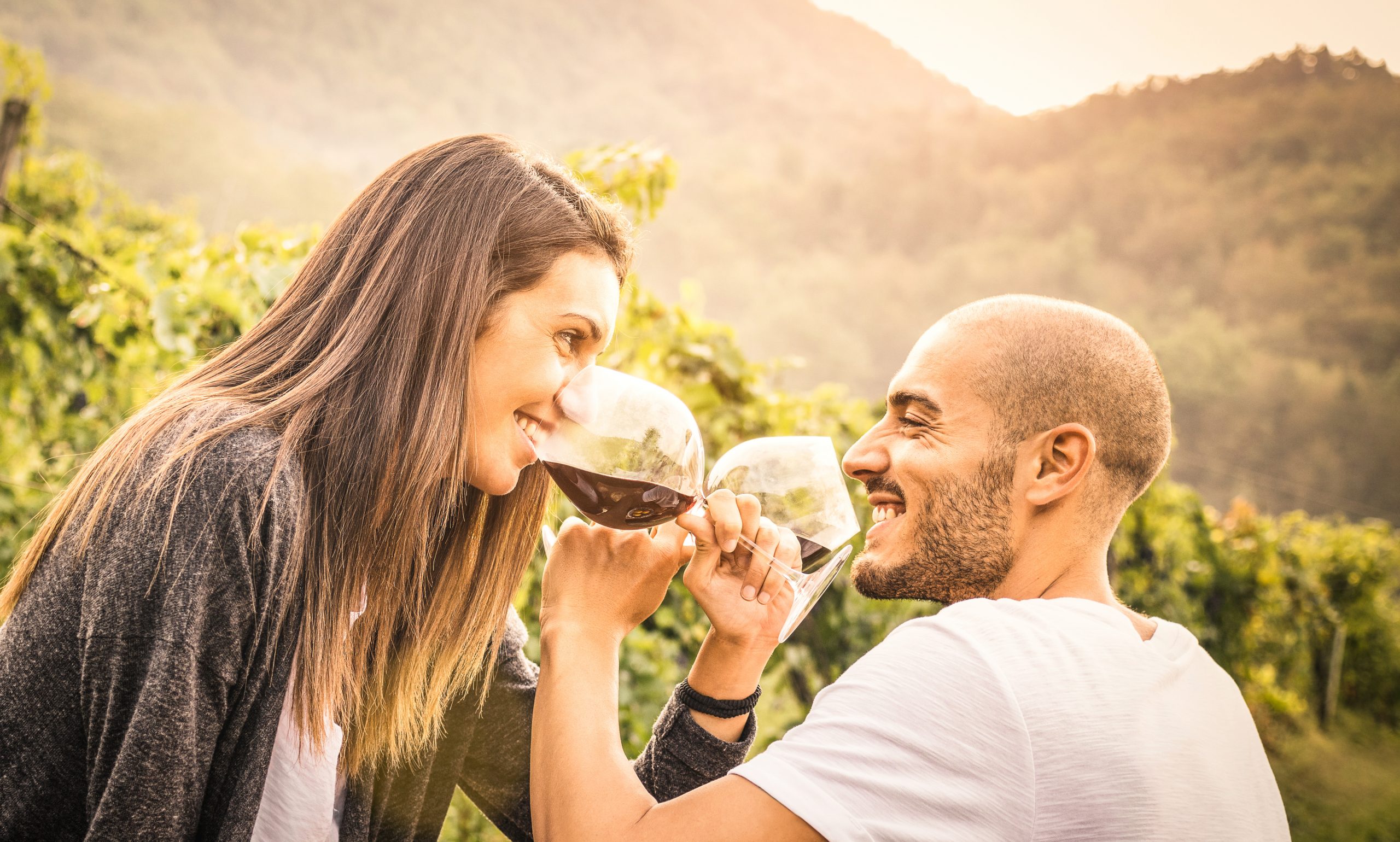 Happy Young Couple Of Lover Drinking Red Wine At Vineyard Farmho