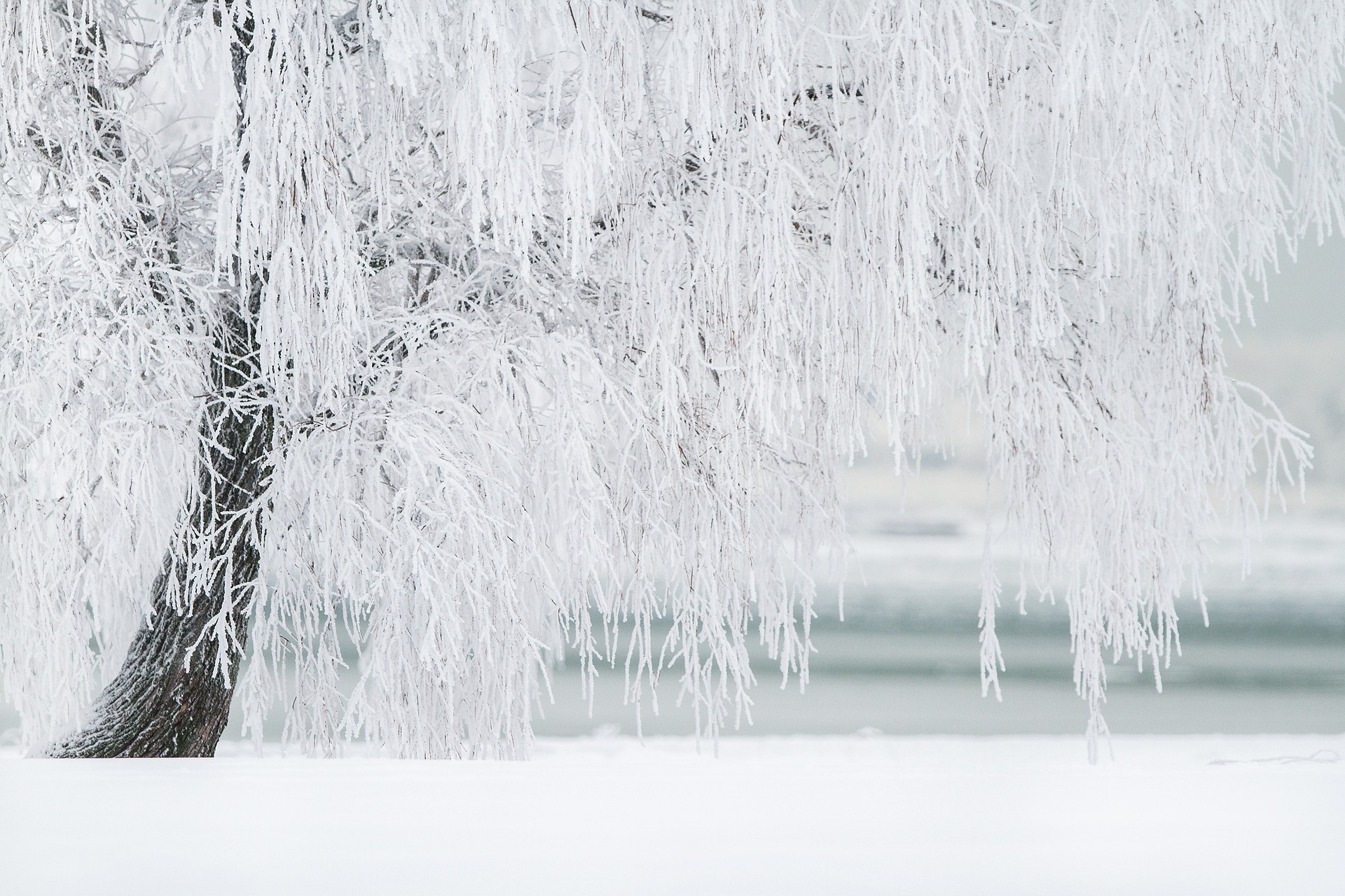 Baza in Spain’s Granada drops to a chilly -6.3ºC and registers lowest urban temperature this Tuesday in all Andalucia